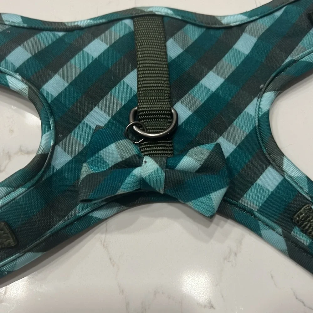 Harness and leash for cats